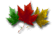 leafs_f.gif